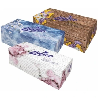 Linteo kosmetické kapesníky v boxu 150ks